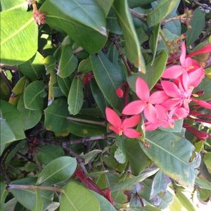 Meet your Posher, Celie